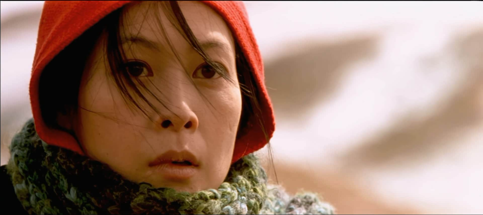 天下无贼.A.World.Without.Thieves.2004.1080p.WEB-DL.x265.10bit.AC3￡cXcY@FRDS.mkv.jpg