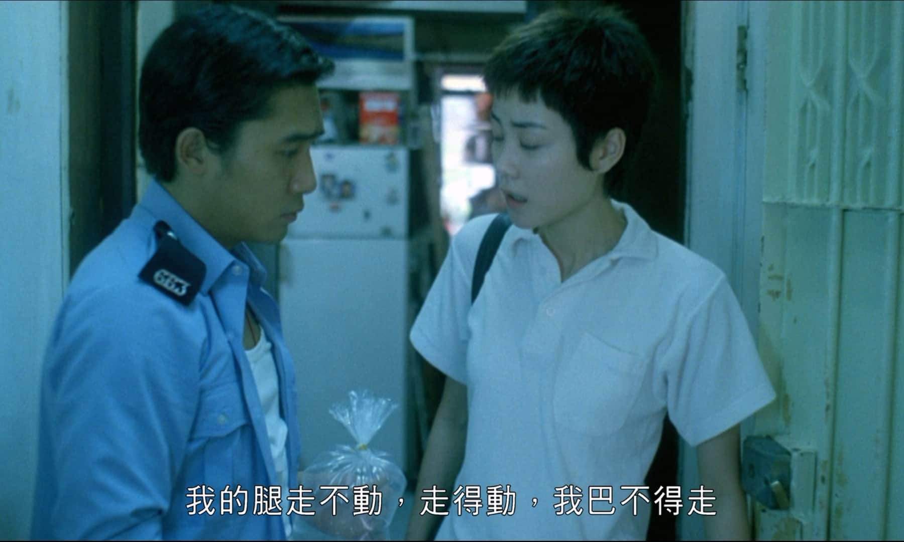 Chungking.Express.1994.CC.BluRay.1080p.x265.10bit.2Audio.MNHD-FRDS.mkv_20230903_.jpg