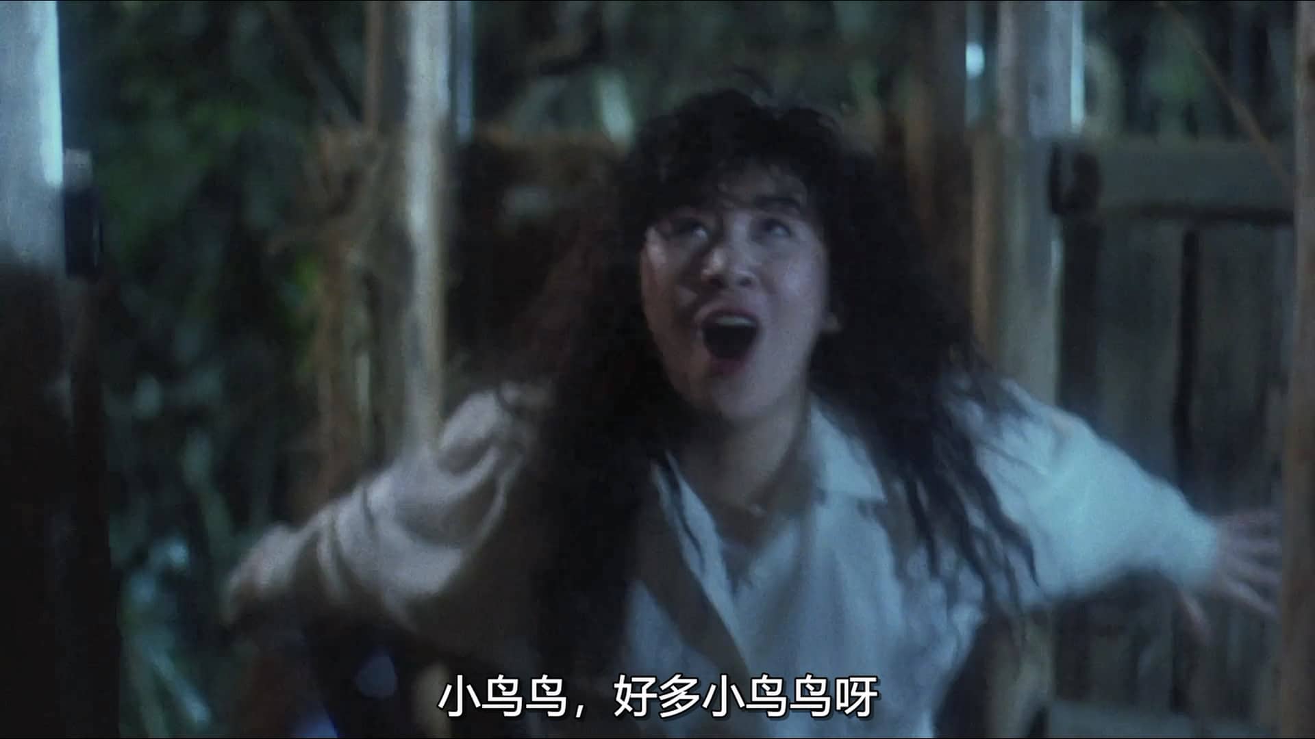 殭屍福星仔.1991.BDRip.2AC3.HKFACT.mkv_20231003_142343.602.jpg