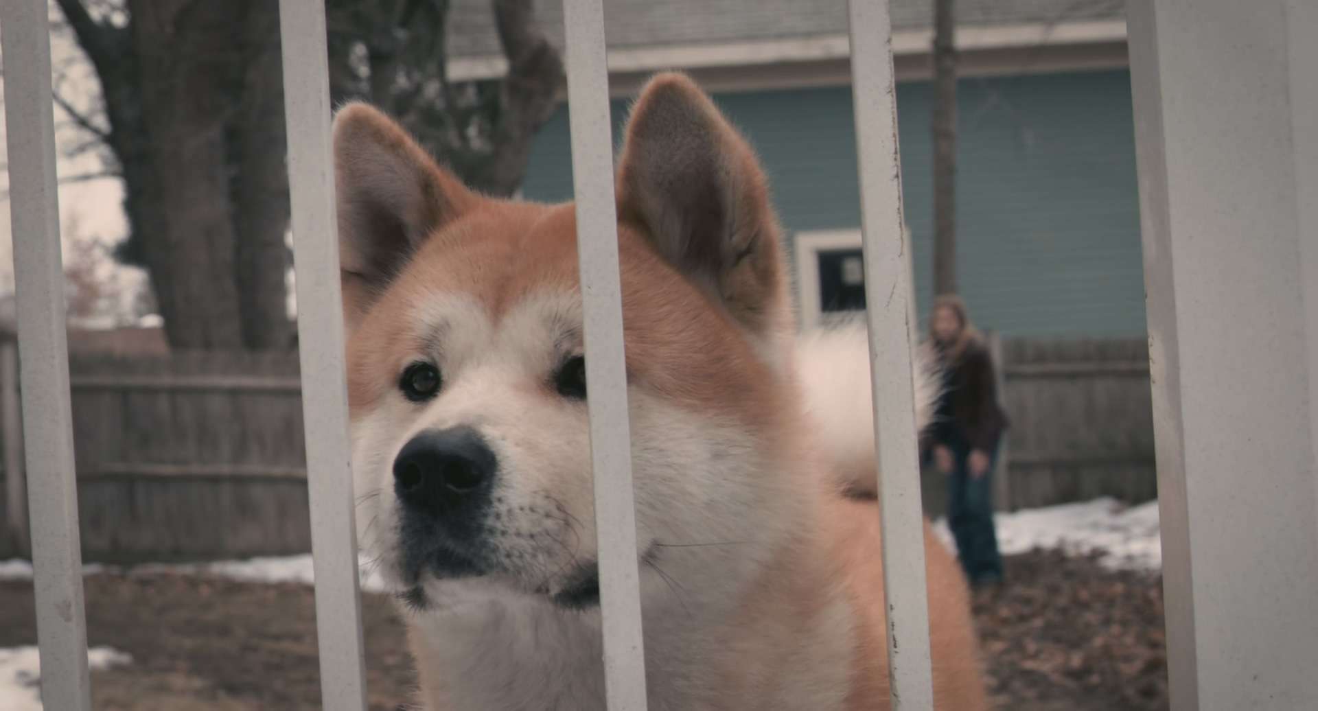 Hachi.A.Dog&#039;sTale.2009.BluRay.1080p.x265.10bit.MNHD-FRDS.mkv_20231105_162643.547.jpg