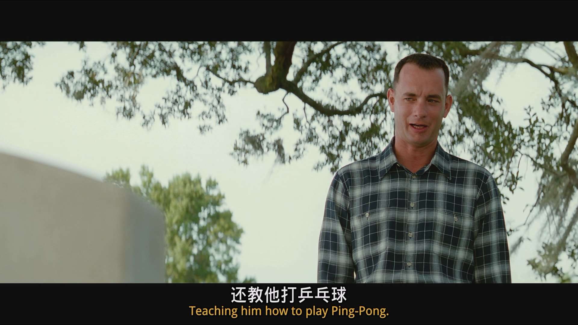 [阿甘正传].Forrest.Gump.1994.4K.REMASTERED.BluRay.1080p.x265.AC3.5Audios-CMCT.mk.jpg