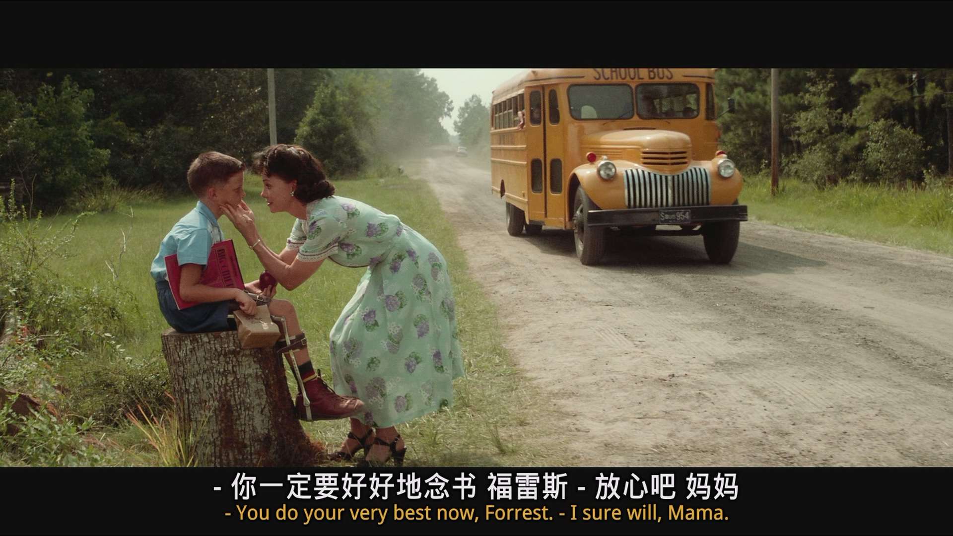 [阿甘正传].Forrest.Gump.1994.4K.REMASTERED.BluRay.1080p.x265.AC3.5Audios-CMCT.mk.jpg