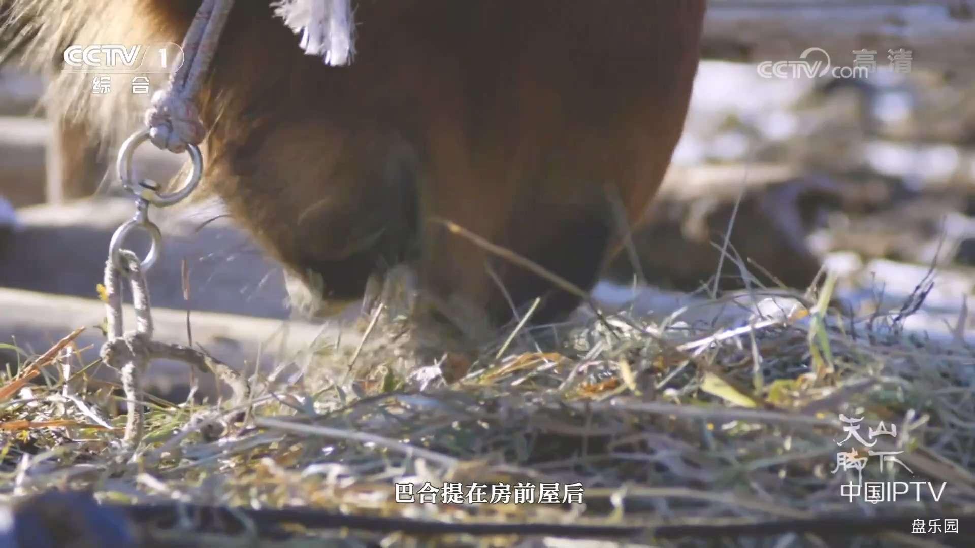 [天山脚下]CCTV-1.At.The.Foot.Of.The.Tian.Shan.2018.E05.HDTV.1080p.H264.AAC-CMCTV.jpg