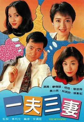 [百度网盘][中国香港][1994][一夫三妻][廖伟雄/恬妞/黎彼得][剧情][全20集][国粤双语无字][MKV/每集1.3G][1080P/MyTVSuper]-1.jpg