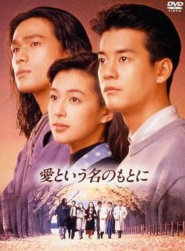 [百度网盘][日本][1992][在爱的名义下][铃木保奈美/江口洋介/唐泽寿明][剧情/爱情][全12集][豆瓣高分:8.3][国语无字][MPG/27.33G][上视]-1.jpg