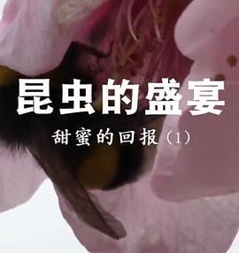 [百度网盘][中国大陆][2020][昆虫的盛宴][纪录片][全4集][国语中字][TS/每集约1.5G][1080I]-1.jpg