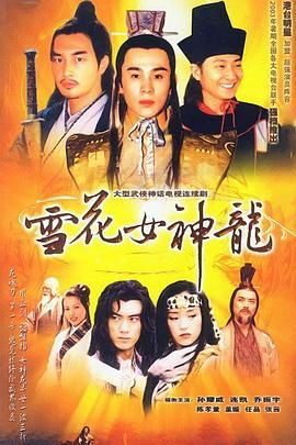 [百度网盘][中国大陆][2002][雪花女神龙][董璇/任天野/乔振宇][剧情/武侠][全45集][国语中字][TS/每集5.1G][1080P/台湾综合台重播版]-1.jpg