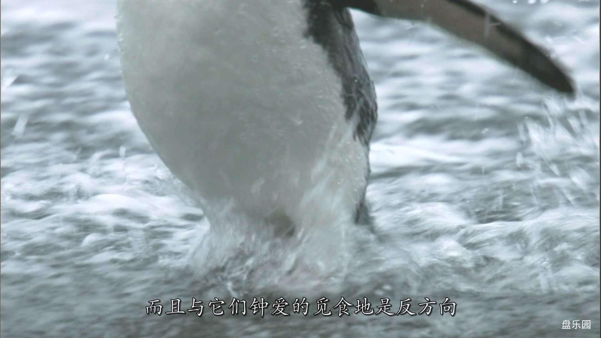 南太平洋.BBC.South.Pacific.2009.EP01.BluRay.1080p.x264.DTS.3Audio.mkv_20240324_0.jpg