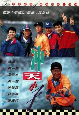 [115网盘][中国香港][1992][冲天小子][蔡一杰/蔡一智/张智霖][全15集][粤语无字][MKV/每集约1.2G][1080P/MyTVSuper源码/H265]-1.jpg