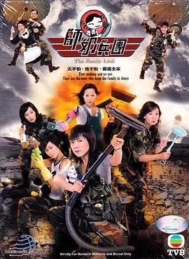 [115网盘][中国香港][2007][师奶兵团][谢天华/邓萃雯/叶童][全21集][粤语简繁软字][MKV/每集约1.2G][1080P/MyTVSuper源码/H265]-1.jpg