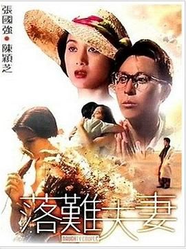 [百度网盘][中国香港/新加坡][1994][落难夫妻][张国强/陈颖芝 /张莽][喜剧][国粤双语中英字幕][MKV/2.3G][完整版]-1.jpg