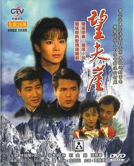 [百度网盘][中国台湾][1991][望夫崖][俞小凡/张佩华/金铭][剧情][全26集][国语中字][MP4/29.88G][1080P/中视]-1.jpg