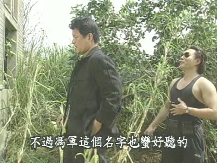 非法入境,1995,DVDRip,AC3,HKFACT.mkv_20240804_010224.469.jpg