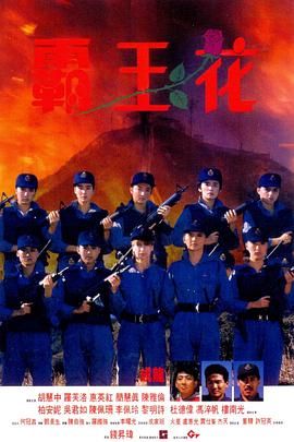 [115网盘][中国香港][1988][霸王花][胡慧中/惠英红/罗芙洛][动作][国粤中字][mkv/11g][HKFACT]-1.jpg