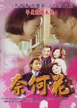 [百度网盘][中国台湾][2000][奈何花][马景涛/席曼宁/江宏恩 Nic Chiang][全21集][国语中字][mp4/7.78G][480P/中视]-1.jpg