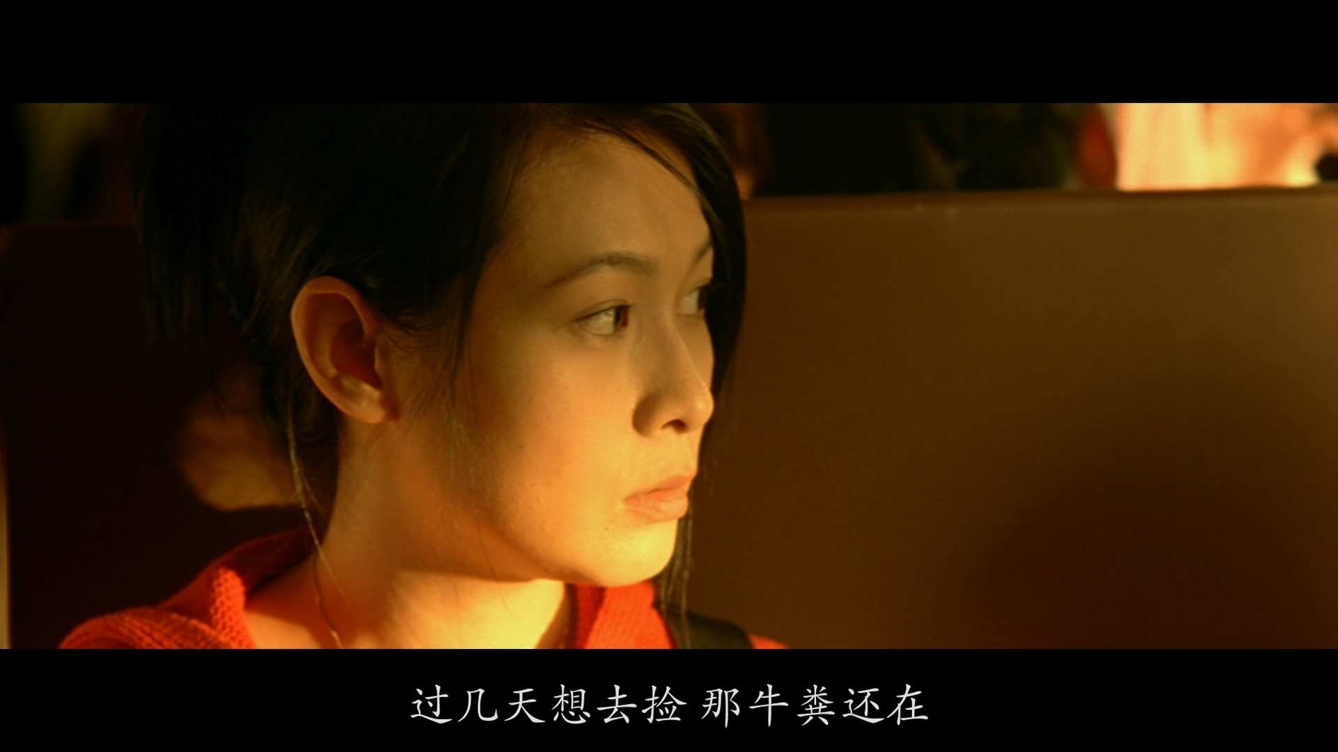 [天下无贼].A.World.Without.Thieves.2004.USA.BluRay.1080p.x264.DTS.2Audios-CMCT.m.jpg