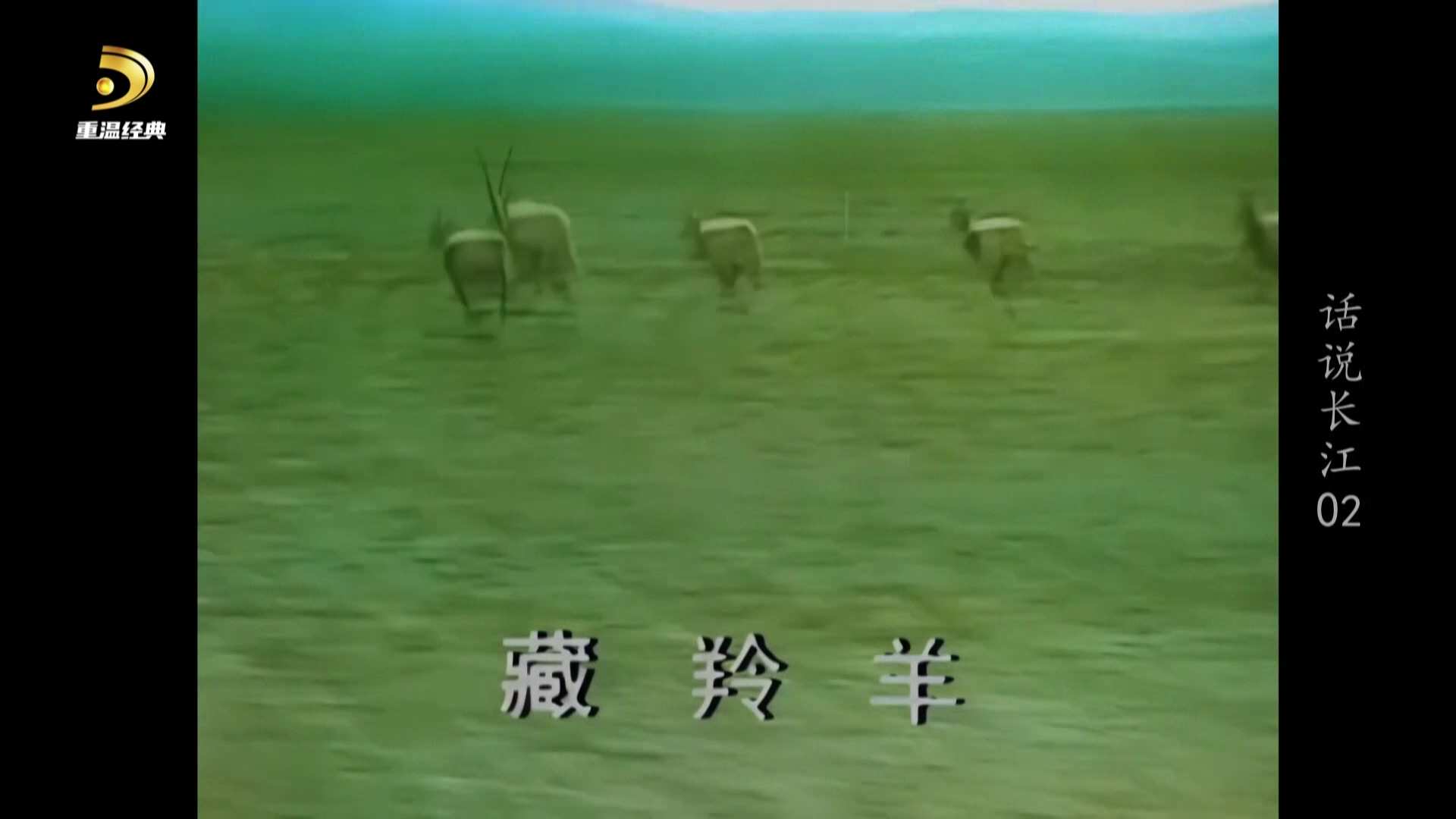 [中国广电重温经典频道 话说长江].CWJDTV.Hua.Shuo.Chang.Jiang.1983.S01E02.1080i.HD.jpg