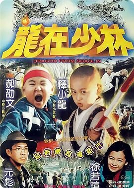 [百度网盘][中国香港/中国台湾][1996][龙在少林][释小龙/元彪/郝劭文][喜剧/动作/儿童][国语中字][MKV/2.27G][4K]-1.jpg