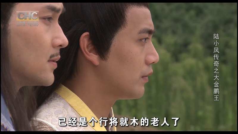 陆小凤传奇之大金鹏王.CHC.2007.HDTV.1080i.H264-HDCTV.ts_115生活(前身“115网盘”)_.png