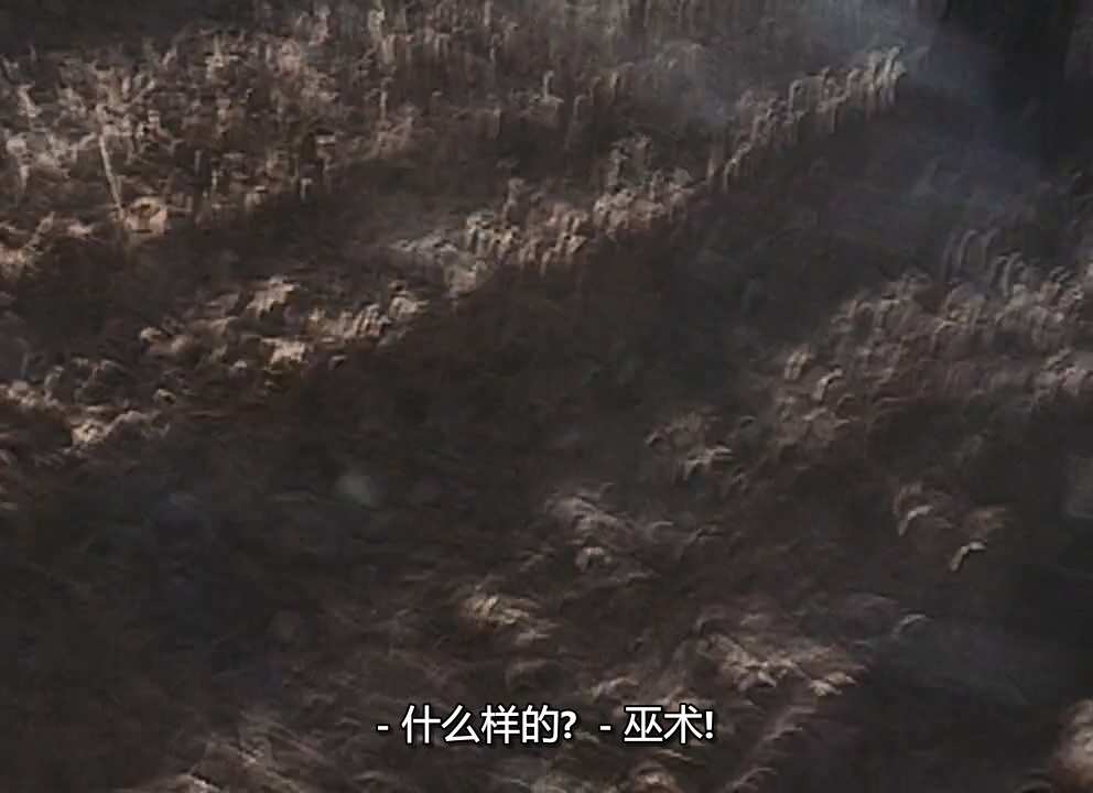 10--女巫布莱尔.The.Blair.Witch.Project.1999.MiniBD.720p.x264.DTS-CnSCG.mkv_20241.jpg