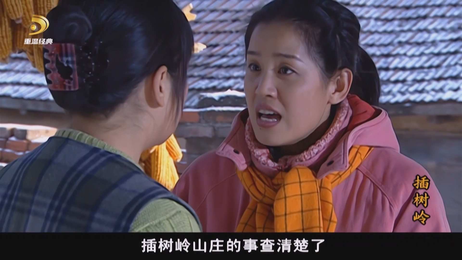 [中国广电重温经典频道 插树岭].CWJDTV.Cha.Shu.Ling.2006.S01E20.1080i.HDTV.AVC.DD5.jpg