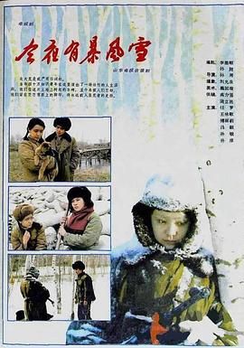 [115网盘][中国大陆][1985][今夜有暴风雪][任梦/孙敏/王咏歌][剧情][全4集][国语中字][MKV][1080I重温经典频道]-1.jpg