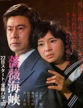 [115网盘][日本][1978][蔷薇海峡][宇津井健/浜美枝/神田正辉][剧情][全26集][国语][MPG/84G][录像带国语]-1.jpg