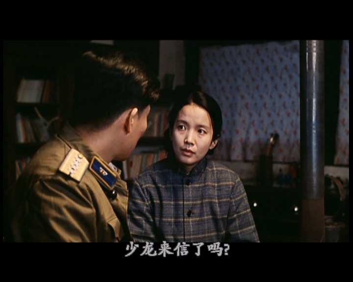 [1993][蓝风筝][DVD9]_20250210_212935.412.jpg