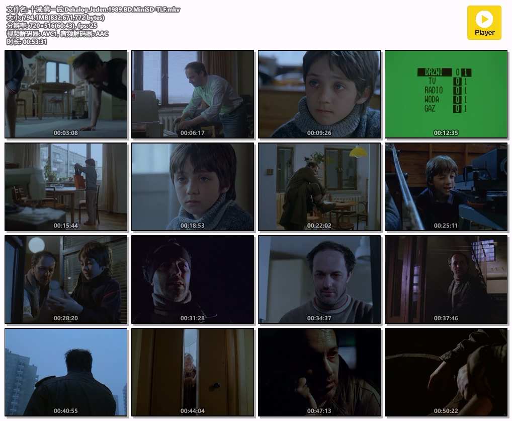 十诫.第一诫.Dekalog.Jeden.1989.BD.MiniSD-TLF.mkv.jpg